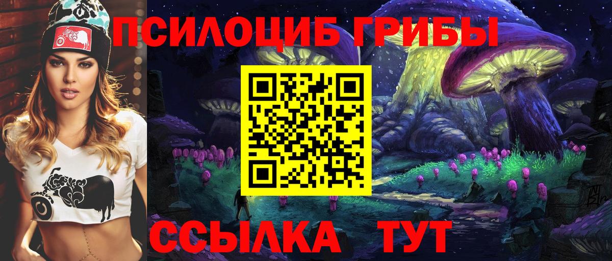 купить наркотик  Псилоцибиновые грибы Psilocybe  Вход с VPN  Холмск 